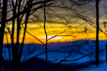 Morning sunrise in tghe winter