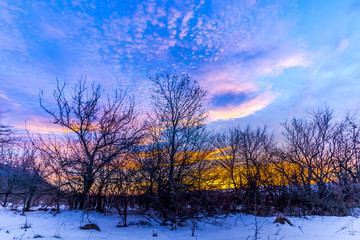 Winter colors of sky at sunrise