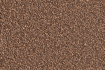 top view of coffee beans