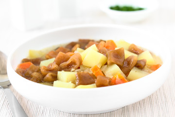 Traditional Chilean Estofado or Guiso de Cochayuyo (lat. Durvillaea antarctica) vegan stew of bull kelp, potato, carrot and onion (Selective Focus in middle of the stew)