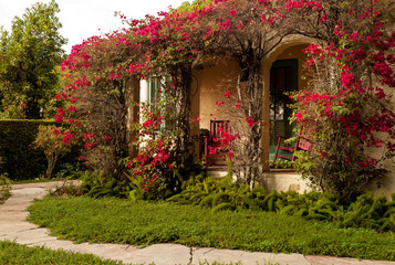 Fototapeta na wymiar Santa Barbara home entry porch with flowering vine
