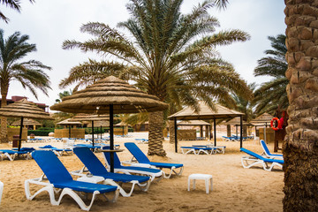 Beach with palms and umbrellas in a Windy and cloudy day