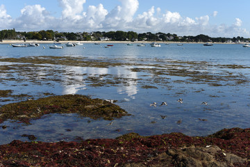 Bretagne eau bateaux et vol d'oiseaux