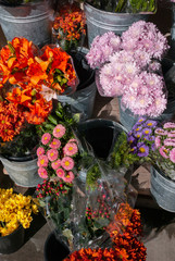 A bundle and bunches of random flowers on display at a grocery store ready for purchase