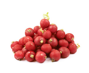 Pile of multiple radishes isolated