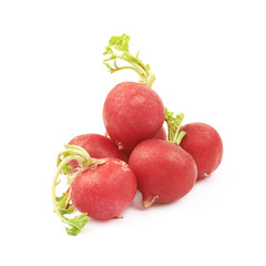 Bunch of radished isolated