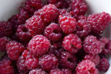 ripe red raspberry