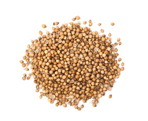 Coriander seeds on white background