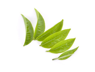 green tea leaf on white background