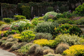 A varied palette of planting at a home in California showcasing layout and design ideas for multiple plants.