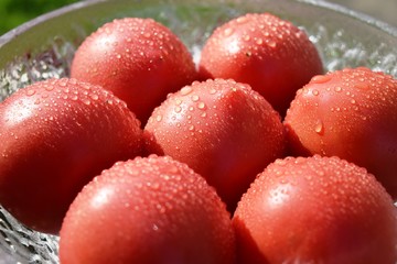 完熟トマト