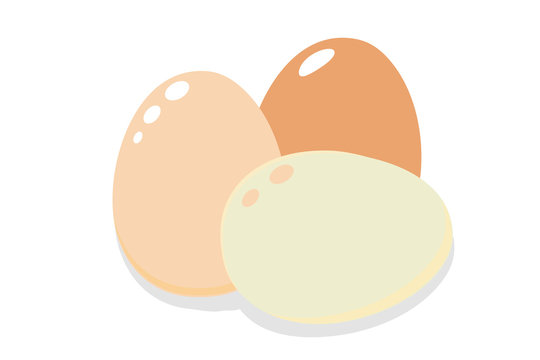 Egg. White and dark fresh 3D chicken eggs. Isolated on white background. Flat icon. Vector illustration