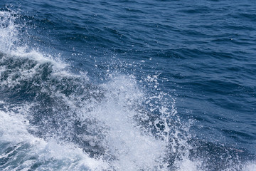 White crest of a sea wave. Selective focus. Shallow depth of field