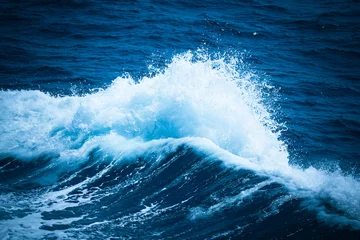 Foto auf Acrylglas White crest of a sea wave. Selective focus. Shallow depth of field. Toned © strannik_fox