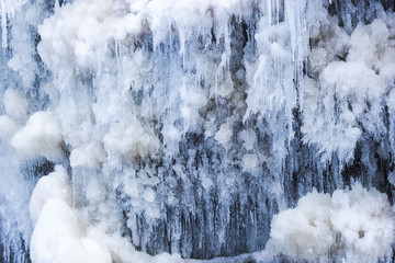 Icicles on the winter