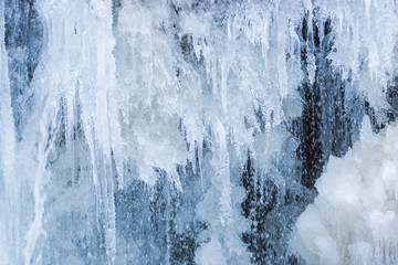 Icicles on the winter