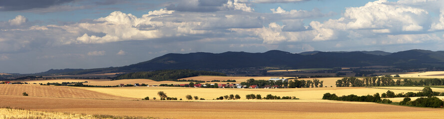 Obraz premium Panorama view of typical European rural scene, wheat field before harvest in countryside. Hostynske vrchy, South Moravia, Czech Republic