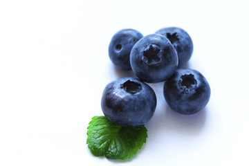 Blueberries on white background