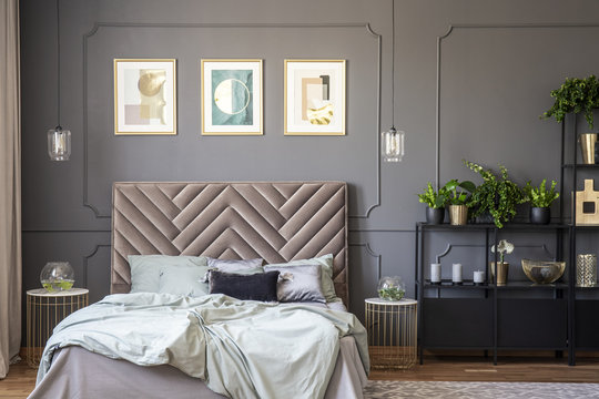 Dark grey bedroom interior with wainscoting on the wall, king-size bed with soft bedhead, three posters and metal rack with plants and decor