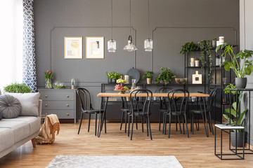 Open space apartment interior with black chairs at a wooden table in the dining area and metal racks with plants against dark wall with molding. Real photo - obrazy, fototapety, plakaty