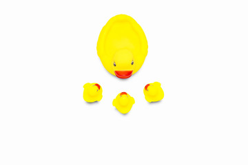 Rubber toy of yellow color Mama duck and small ducklings on a white background. The concept of maternal care and love for children. Flat lay, top view