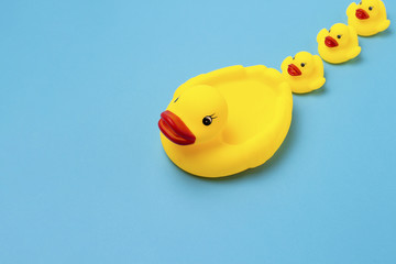 Rubber toy of yellow color Mama-duck and small ducklings on a blue background. The concept of maternal care and love for children, the upbringing and education of children. Flat lay, top view