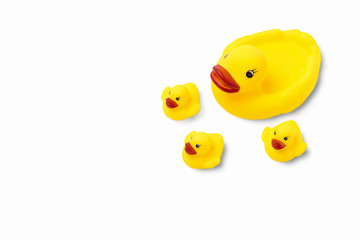 Rubber toy of yellow color Mom duck and little ducklings on a white background. The concept of maternal care and love for children