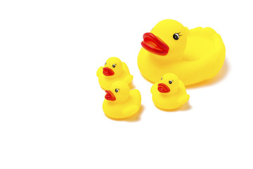 Rubber toy of yellow color Mom duck and little ducklings on a white background. The concept of maternal care and love for children