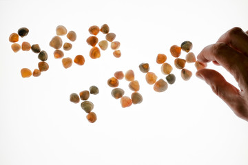 Close-up of a male hand making up the word Sea tour of seashells on a white background. The concept of rest or holiday. Isolated. Copyspace.