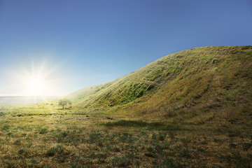 Fototapeta premium Green hill with grass field