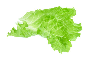 lettuce salad leaves isolated. Clipping path
