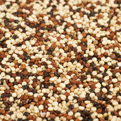 Surface coated with the quinoa seeds