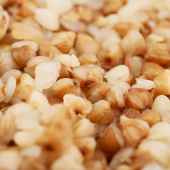 Surface coated with the cooked buckwheat