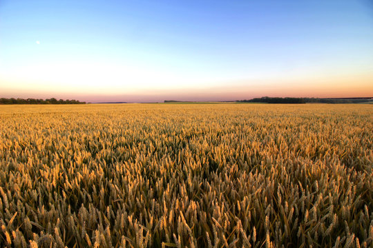 Couch&eacute; de soleil