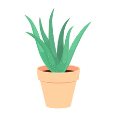 Illustration of a house plant -Aloe Vera plant in a pot.