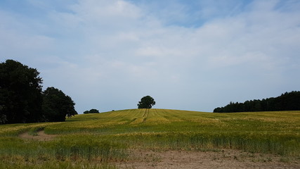 Farmland