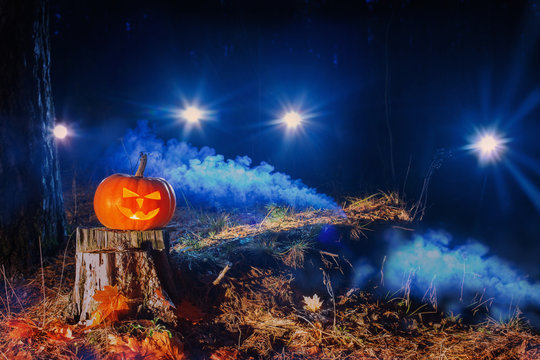 halloween pumpkin in night forest