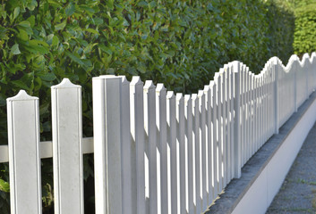 close on white fence along a green hedge of an urban backyard