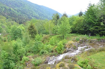 Fototapeta premium Vallée et torrent sous le barrage d'Alfeld, ballon d'Alsace, France