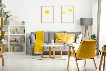 Yellow wooden armchair and table in living room interior with posters above grey sofa. Real photo