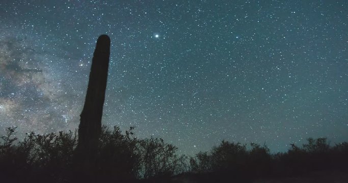 Saguaro Milky Way