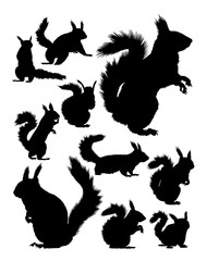Squirrel silhouette. Good use for symbol, logo, web icon, mascot, sign, or any design you want.
