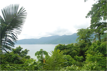 Fototapeta na wymiar View of the ocean and mountains of Tioman island through the leaves of jungle, Malaysia