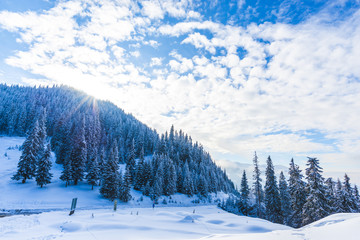 Winter landscape