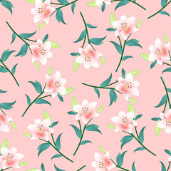 Pink Lily on Pink Background