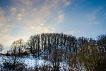 Morning sunrise in the winter