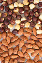 close up of almonds and hazelnut for background