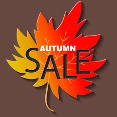 Fall sale background design with colorful paper cut autumn leaves. Vector illustration