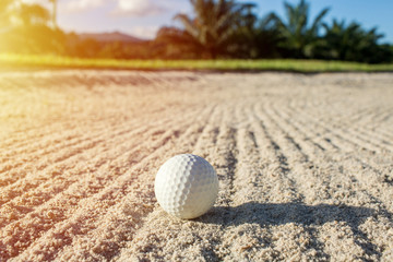 selective focus white golf ball on the sand bunker with green field