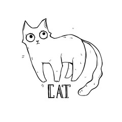 The funny cat with big eyes. Line drawing. Black and white. Can be printed on a t-shirt, postcards, etc.